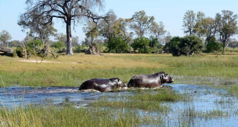 3-Day Zambia Safari Adventure to Kafue National Park - What’s Included & What’s Not