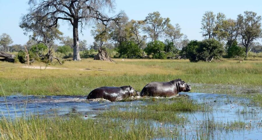 3-Day Zambia Safari Adventure to Kafue National Park - What’s Included & What’s Not