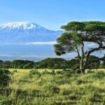 3 Days 2 Nights Amboseli National Park Tour - The Itinerary in Detail: What You Can Expect