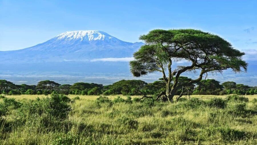 3 Days 2 Nights Amboseli National Park Tour - The Itinerary in Detail: What You Can Expect