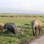 3 Days, 2 Nights Amboseli Private Budget Safari - Day 1: From Nairobi to Amboseli National Park