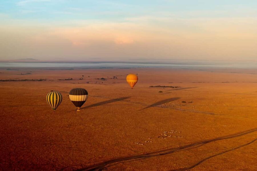 3 Days 2 Nights Masai Mara Safari - Who Is This Safari Best Suited For?