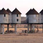 3 Days 2 Nights Private Safari to Salt Lick - The Value of This Safari Experience