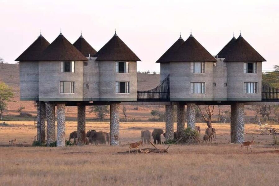 3 Days 2 Nights Private Safari to Salt Lick - The Value of This Safari Experience