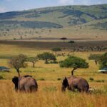 3 Days 2 Nights Private Tour in Maasai Mara - Exploring the Maasai Mara: What’s Included and What to Expect