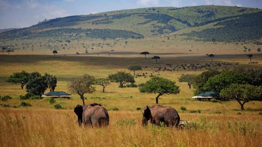 3 Days 2 Nights Private Tour in Maasai Mara - Exploring the Maasai Mara: What’s Included and What to Expect