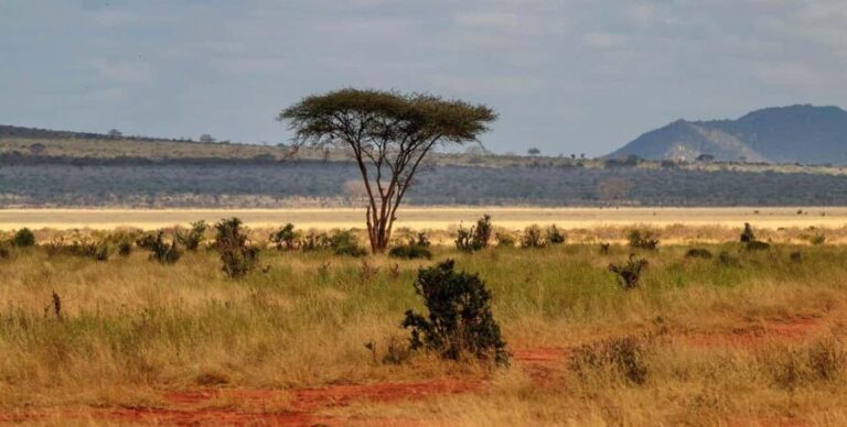 3 days 2 nights safari to Tsavo East Safari from Mombasa - An In-Depth Look at the Tsavo East Safari Experience