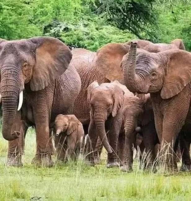 3-Days Akagera Safari, boat cruise and night game drive. - Exploring the Itinerary: What to Expect