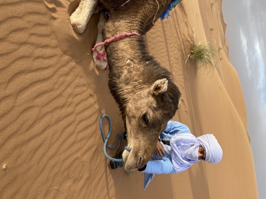 3 days Camel Trekking in Morocco Desert tour - What’s Included and What’s Not?