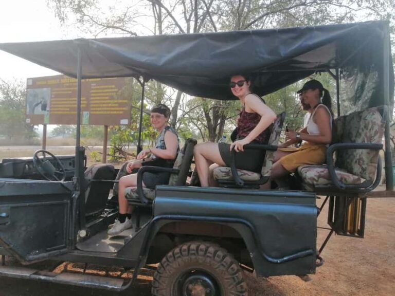 3 Days Elephant Safari at Mole Park with round trip flights - An In-Depth Look at the Tour