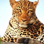 3-Days Exclusive Luxury Private tour (All Inclusive) - An Overview of the Itinerary and What You Can Expect