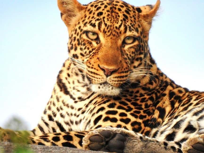 3-Days Exclusive Luxury Private tour (All Inclusive) - An Overview of the Itinerary and What You Can Expect