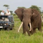 3 Days - Lake Manyara, Ngorongoro Crater and Tarangire - Practical Details and What to Expect