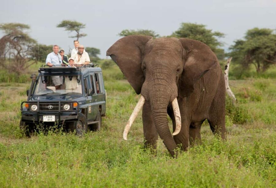 3 Days - Lake Manyara, Ngorongoro Crater and Tarangire - Practical Details and What to Expect
