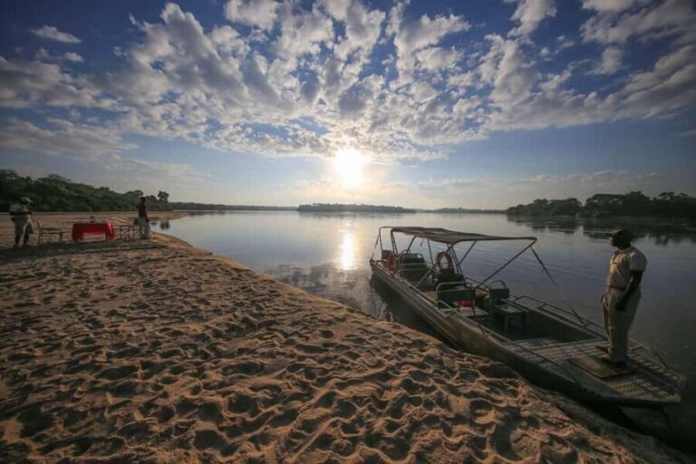 3 DAYS LUXURY SAFARI TO SELOUS/NYERERE PARK FROM ZANZIBAR - The Journey Begins: From Zanzibar to the Wilderness