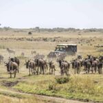 3 Days Maasai Mara Guided Safari from Nairobi - The Itinerary Breakdown: What to Expect