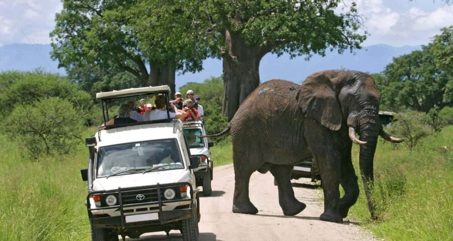 3 Days Masai Mara Gamedrive Safari on 4x4 Landcruiser Jeep - Cost and Value: What’s Included and What’s Not