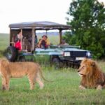 3 Days Masai mara Group joing tour - What’s Included and What to Budget For