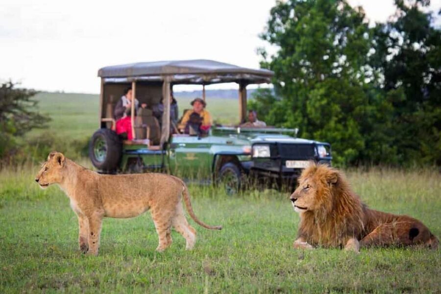 3 Days Masai mara Group joing tour - What’s Included and What to Budget For