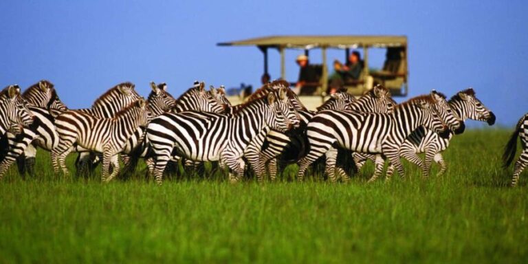 3 Days Migration Trip in Serengeti and Ngorongoro - What to Expect from This 3-Day Safari