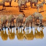 3 Days Nairobi to Amboseli to Tsavo East to Mombasa Safari - What’s Included and What to Keep in Mind