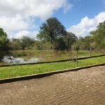 3 DAYS NYERERE NATIONAL PARK FROM ZANZIBAR BY FLIGHT. - The Itinerary Breakdown