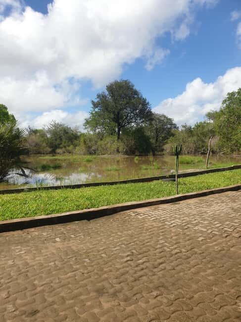 3 DAYS NYERERE NATIONAL PARK FROM ZANZIBAR BY FLIGHT. - The Itinerary Breakdown