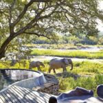 3 Days Private Midrange Safari from Zanzibar with Flights - What Makes This Tour Stand Out?