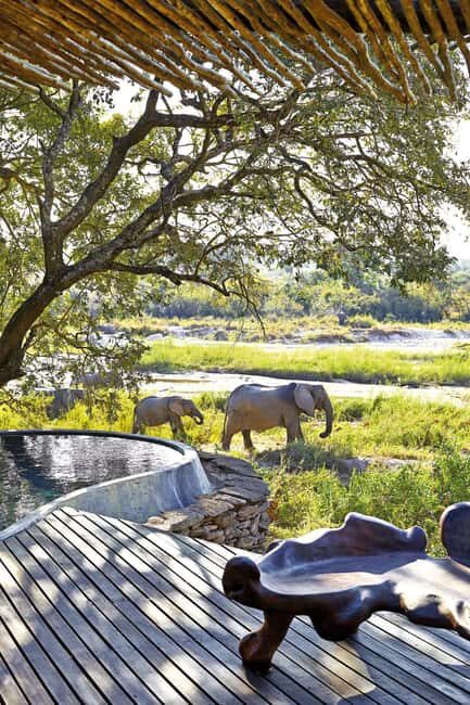3 Days Private Midrange Safari from Zanzibar with Flights - What Makes This Tour Stand Out?