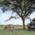 3-Days Serengeti National Park from Zanzibar with Flights - Transportation and Accommodation: Comfort on the Move