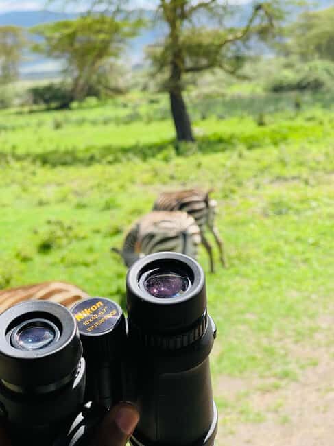 3 Days Serengeti Ngorongoro Group Joining Safari - Authentic Travel Experience and Review Insights