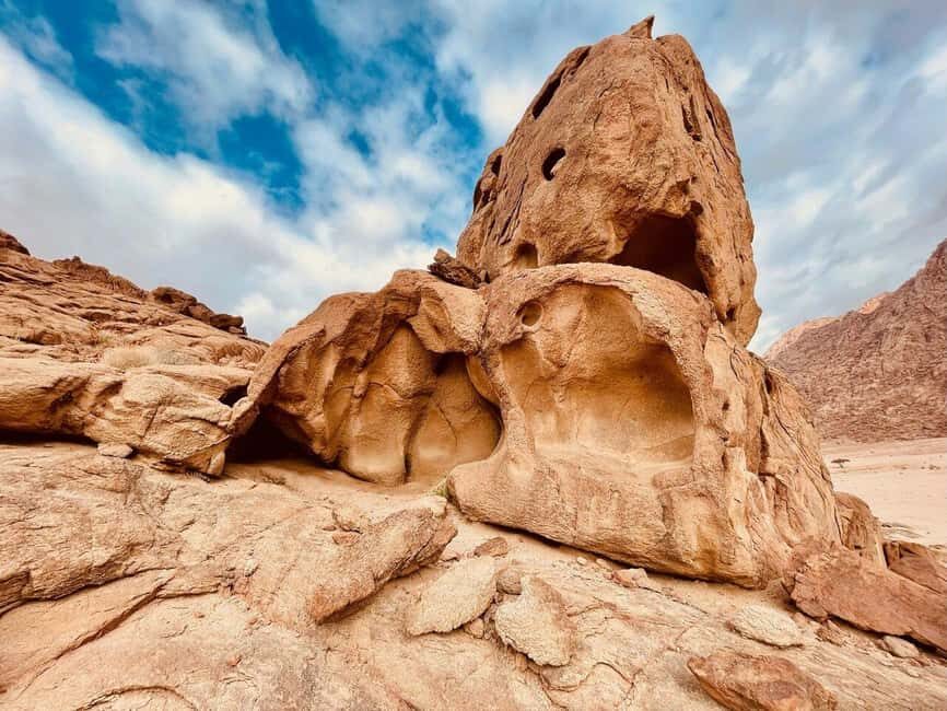 3 Days Tour :Embark on a Journey from Tabuk to the Red Sea - What Does the 3-Day Tour Offer in Terms of Value?