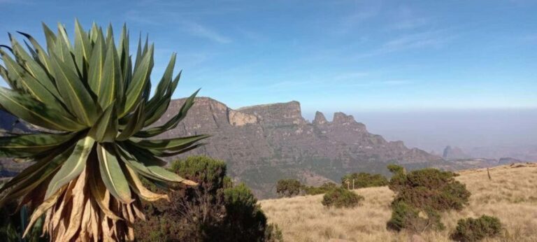 3 Days Trekking & Wildlife Spotting in the Simien Mountains - Day 2: Waterfalls, Peaks, and Endemic Wildlife