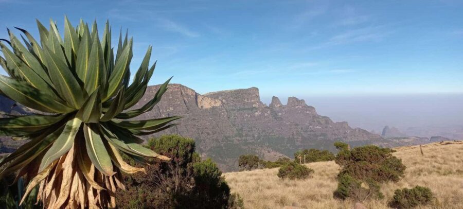 3 Days Trekking & Wildlife Spotting in the Simien Mountains - Day 2: Waterfalls, Peaks, and Endemic Wildlife