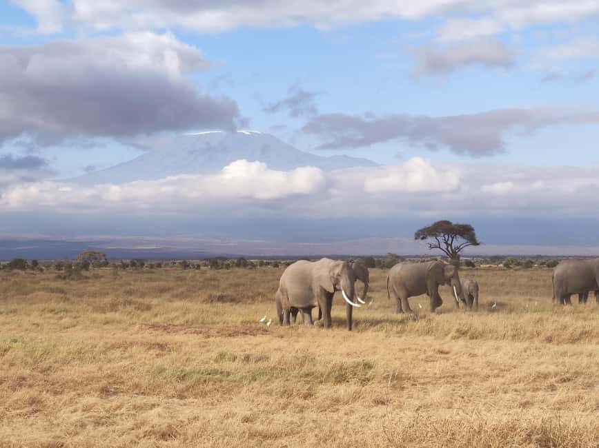 3 days Tsavo East & Tsavo West Safari from Diani/Mombasa - The Value of This Tour