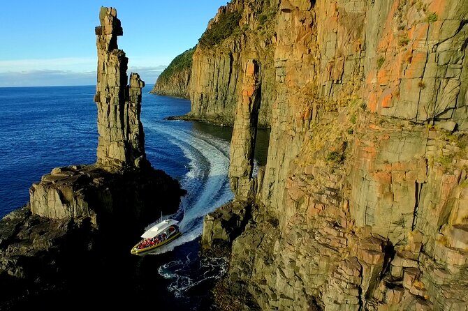 3-Hour Bruny Island Cruise from Adventure Bay, Bruny Island - The Itinerary: What to Expect