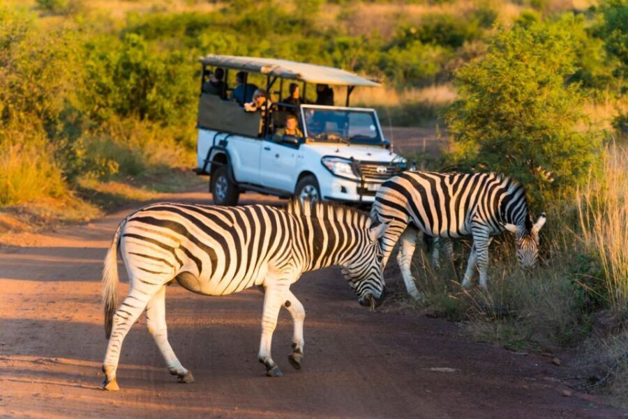 3-Hour Private Game Drive in Pilanesberg National Park - The Practicalities: What’s Included and What’s Not