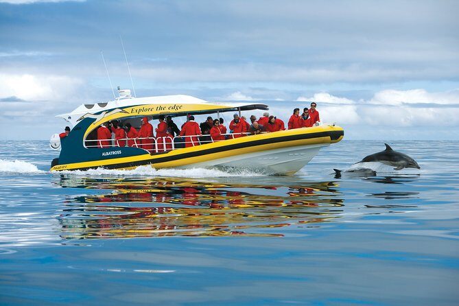 3-Hour Tasman Peninsula Wilderness Cruise from Port Arthur - Who Is This Tour Best Suited For?
