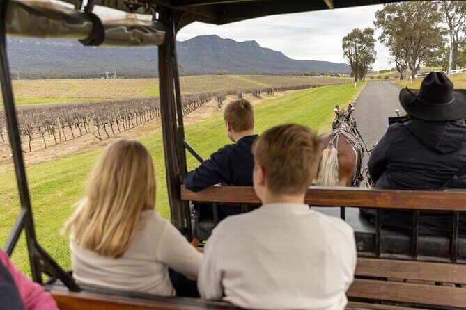 3- Hour Wine and Harvest the Hunter Horse Tour in Pokolbin - What’s Included and How It Works
