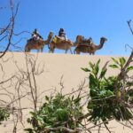 3-Hours Dromedary Ride Essaouira, Morocco - What Makes This Dromedary Ride Stand Out?