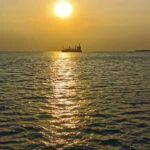 3 Hours Zanzibar Sunset Dhow Cruise - The Details That Matter