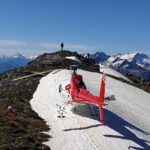 35-Minute Alpine Scenic Flight from Queenstown - What Travelers Say: Authentic Insights