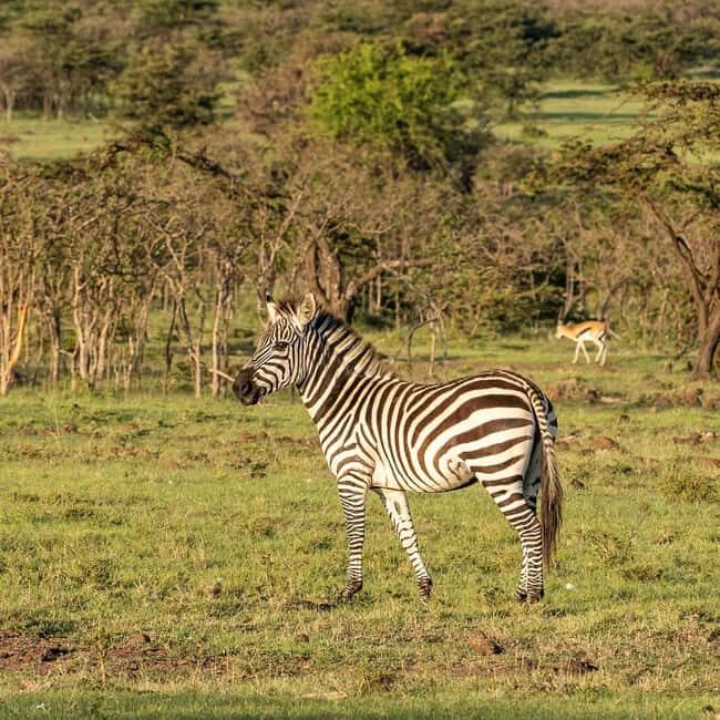 3Day Samburu National Reserve: Culture & Wildlife Immersion - Accommodation & Food