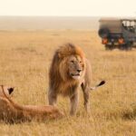 3Days Group Joining Safari to Maasai Mara from Nairobi - Itinerary Breakdown: What to Expect