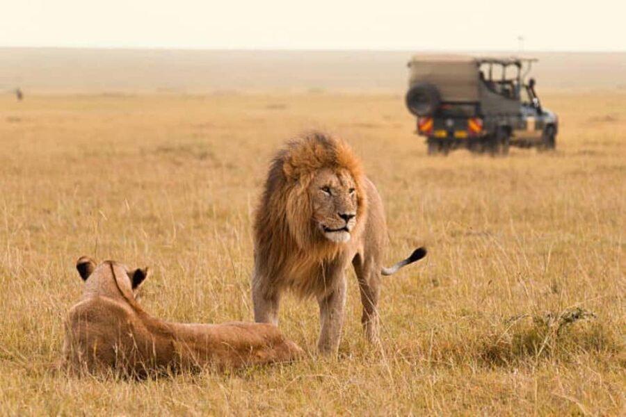 3Days Group Joining Safari to Maasai Mara from Nairobi - Itinerary Breakdown: What to Expect