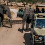 3Days Masai Mara Group Joining Camping with Daily Departures - Practical Details and Tips