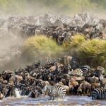 3days Masai Mara Lodge Safari with a 4x4 Land Cruiser Jeep - What’s Included & Whats Not