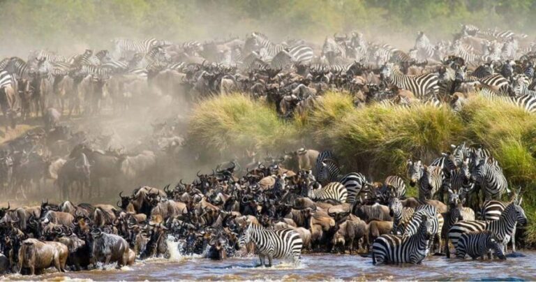3days Masai Mara Lodge Safari with a 4x4 Land Cruiser Jeep - What’s Included & Whats Not