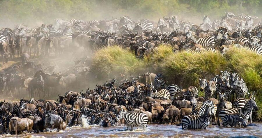 3days Masai Mara Lodge Safari with a 4x4 Land Cruiser Jeep - What’s Included & Whats Not