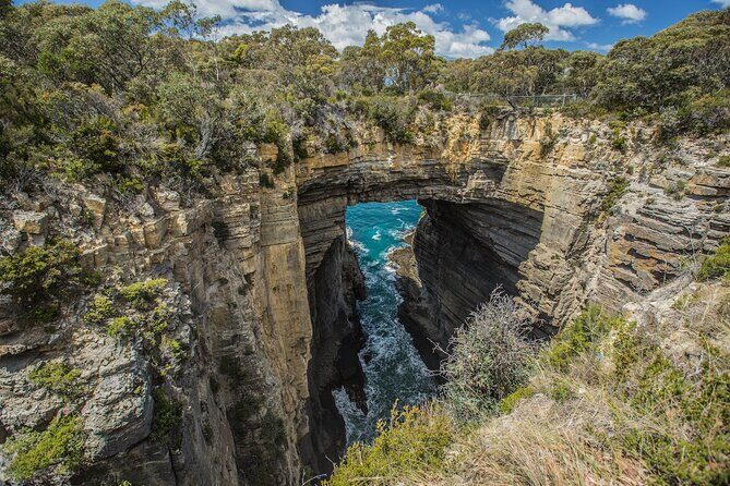 4 Day Bundle - Hobart, Port Arthur, Bruny, Hastings and Tahune - The Sum Up: Who Is This Tour Best For?